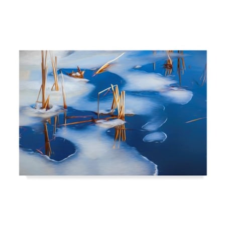 Anthony Paladino 'Ice Shapes On Pond' Canvas Art,16x24
